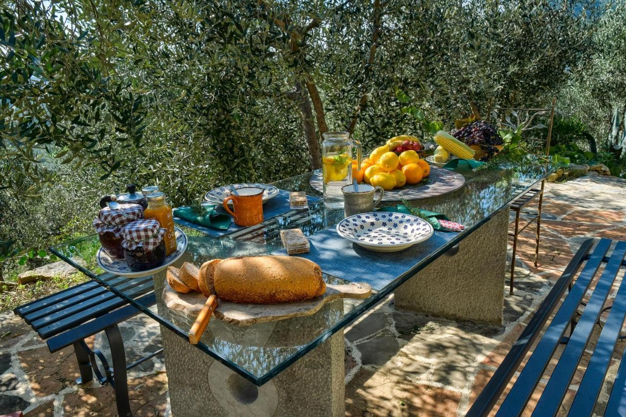 Villa Maria - In The Hills Above Florence Castiglione  Екстер'єр фото